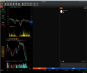大象金服 1.0.0 官方版 | 股票行情系统分析软件