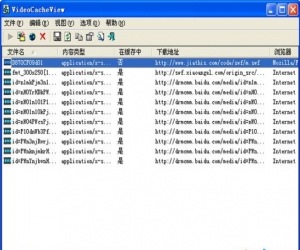 VideoCacheView v2.85 中文绿色版 | 浏览器视频缓存提取工具
