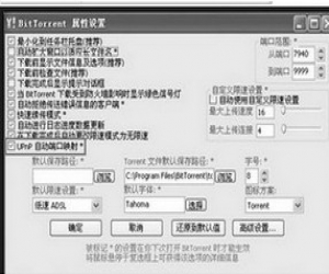BitTorrent 7.9.2.35704 多国语言绿色版