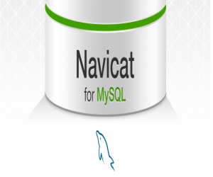 Navicat for MySQL V11.1.13 官方中文版 | MySQL数据库管理工具