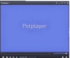 PotPlayer播放器(集成Real解码) 1.6.51696 简体中文版
