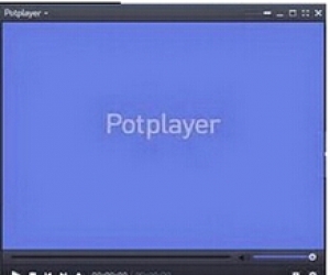 PotPlayer播放器(集成Real解码) 1.6.51791 绿色中文版