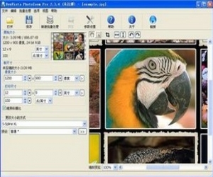 PhotoZoom 6.0.4 绿色中文版|无损放大图片软件