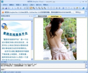 dwg文件浏览器(DwgSeePlus) 4.0 免费中文版
