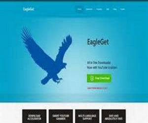 EagleGet 2.0.2.0 官方中文版|猎鹰高速下载器