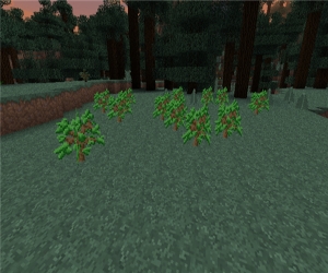 我的世界自动树苗种植mod 1.8.9 | 我的世界mod下载