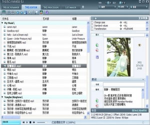 TagScanner v5.1.668 绿色中文版 | 标签编辑器