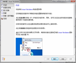 Actual Title Buttons v8.5 中文免费版 | Windows窗口增强工具