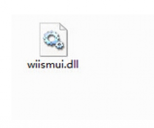 wiismui.dll | 重要dll文件