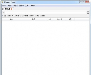FileSearchy Pro 1.3 中文特别版|文件快速搜索软件