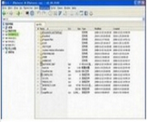 XYplorer下载(电脑文件管理器软件) 14.80.0000 绿色中文版
