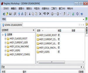 Registry Workshop(注册表编辑器) v5.0.0 中文版 | 注册表编辑工具