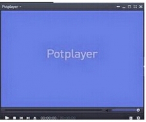 PotPlayer播放器(集成Real解码) 1.6.51791 简体中文版