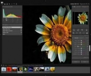 PT Photo Editor下载 2.1.2 绿色免费版|照片编辑器软件