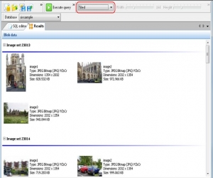 SQL Image Viewer 5.5.0.156 官方版|SQLSERVER图片查看工具
