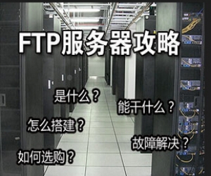 Wing FTP Server下载|Wing FTP Server v4.4.5 中文版