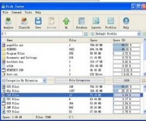 Disk Savvy下载 6.9.24 官方安装版|硬盘空间分析工具