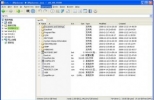 XYplorer多标签文件管理器 14.50.0.0 特别版
